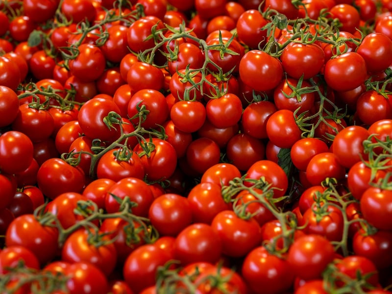 Organic Vegetables