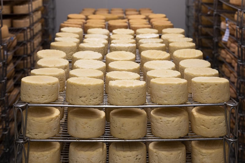Fermentation Process